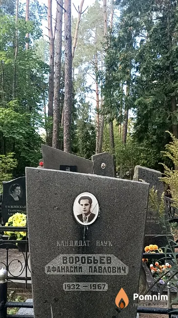 Воробьев Афанасий Павлович