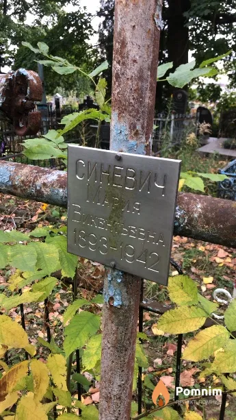 Синевич Мария Викентьевна