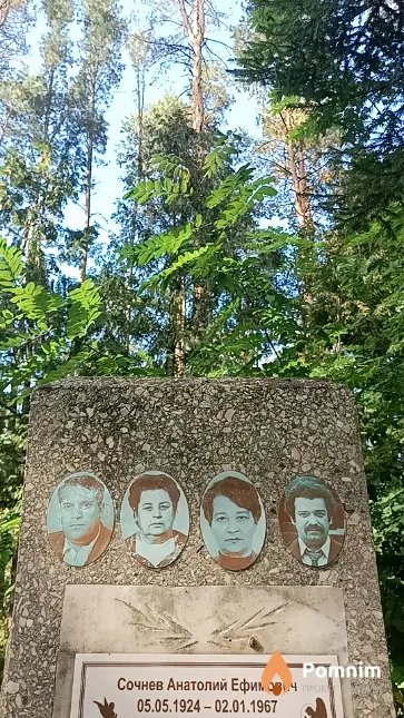 Сочнев Анатолий Ефимович