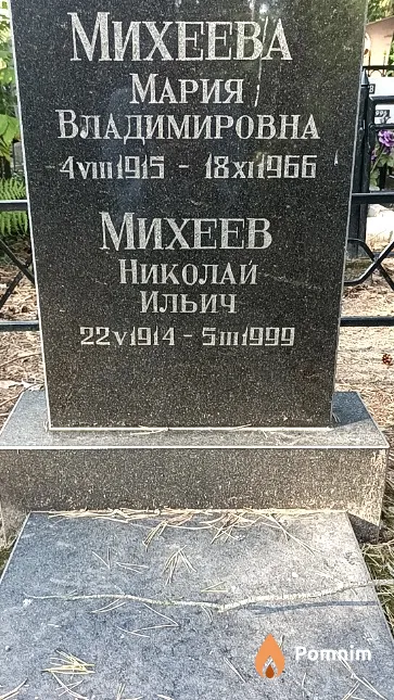 Михеев Николай Ильич