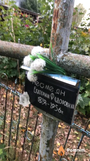 Несмеян Екатерина Федоровна