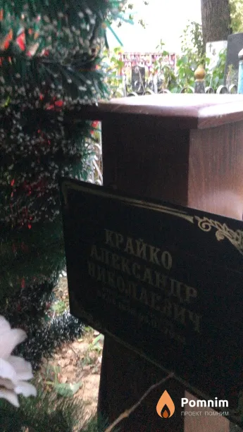 Крайко Александр Николаевич