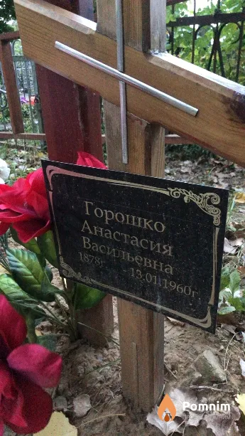 Горошко Анастасия Васильевна