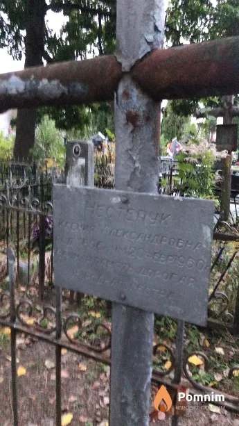 Нестерук Ксения Александровна