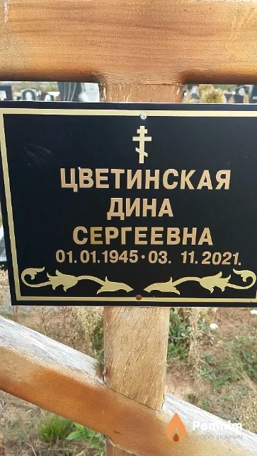 Цветинская Дина Сергеевна