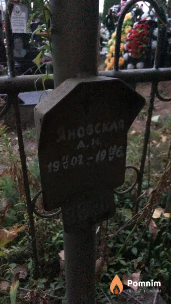 Яновская А И