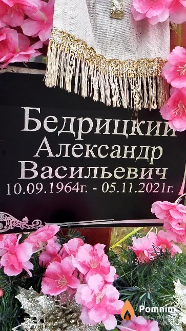 Бедрицкий Александр Васильевич