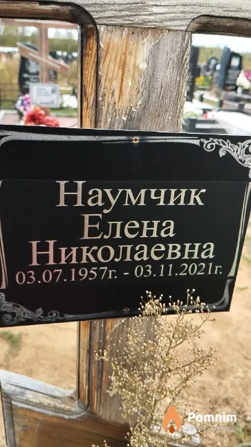 Наумчик Елена Николаевна