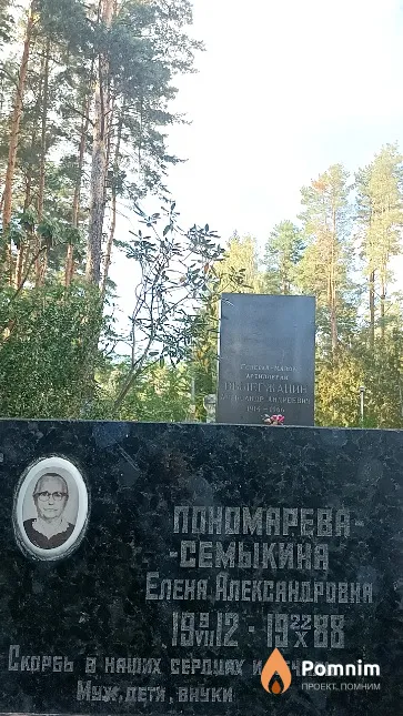 Пономарева-Семыкина Елена Александровна