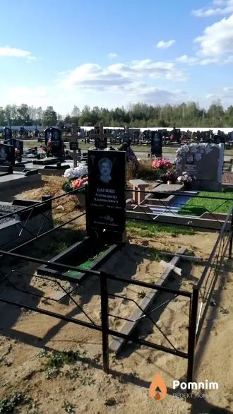 Багиян Александр Аванесович