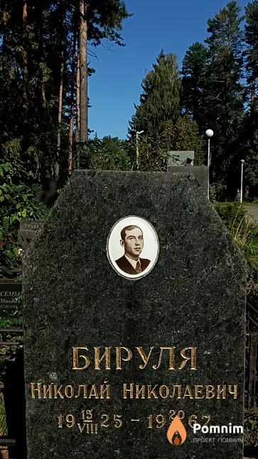 Бируля Николай Николаевич