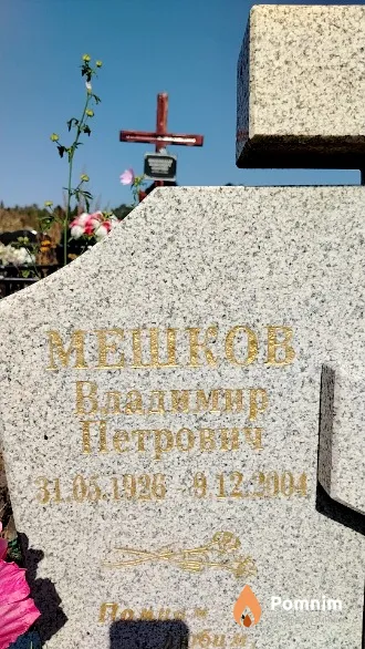 Мешков Владимир Петрович