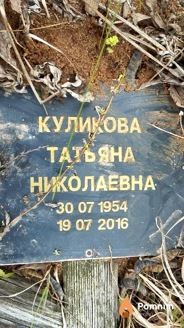 Куликова Татьяна Николаевна