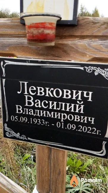Левкович Василий Владимирович