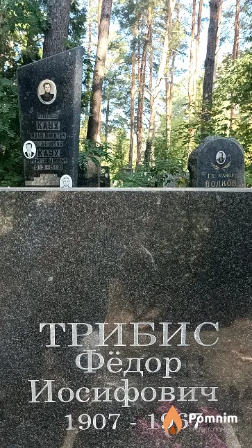 Трибис Фёдор Иосифович