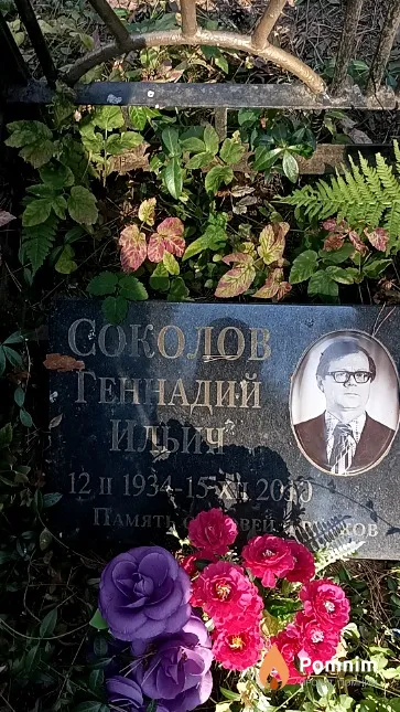 Соколов Геннадий Ильич
