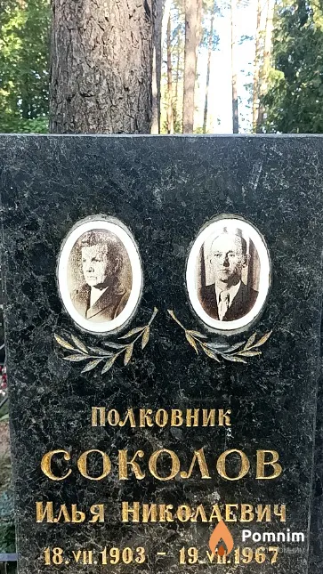 Соколов Илья Николаевич