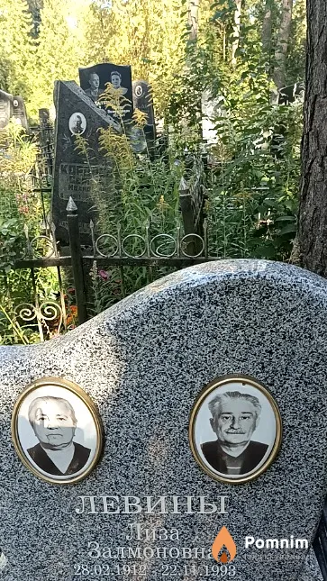 Левин Лиза Залмоновна