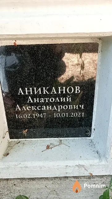 Аниканов Анатолий Александрович