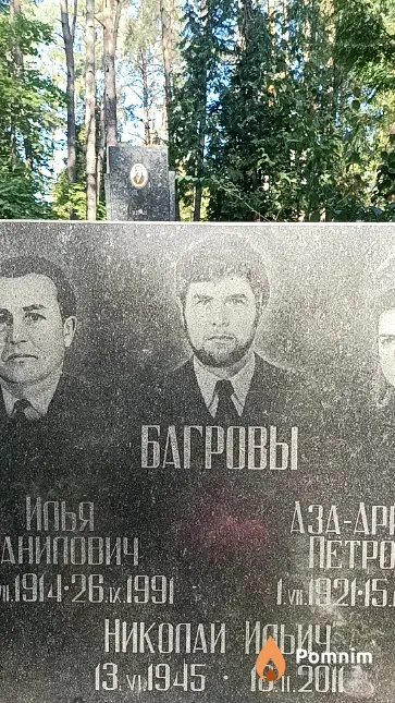 Багров Николай Ильич