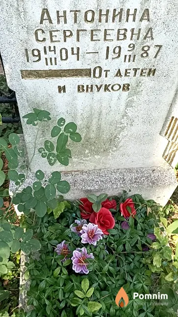 Силина Антонина Сергеевна