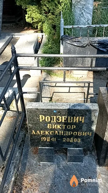Родзевич Виктор Александрович