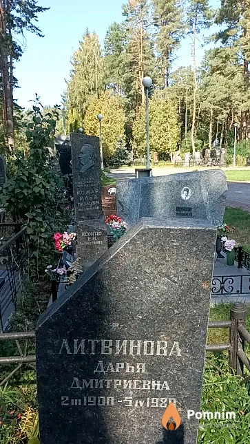 Литвинова Дарья Дмитриевна