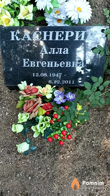 Каснерик Алла Евгеньевна