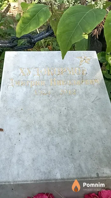 Худокормов Дмитрий Николаевич