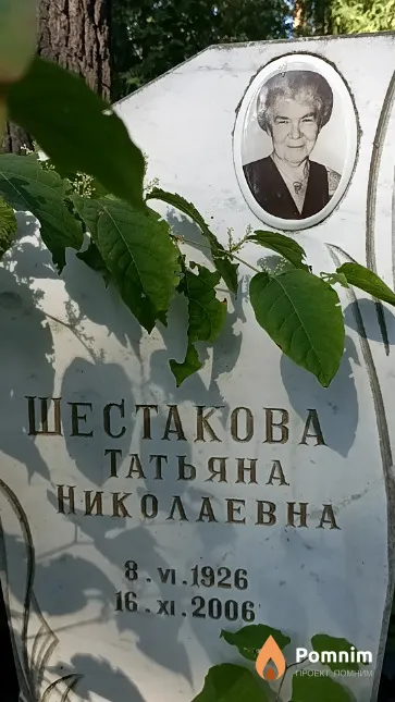 Шестакова Татьяна Николаевна