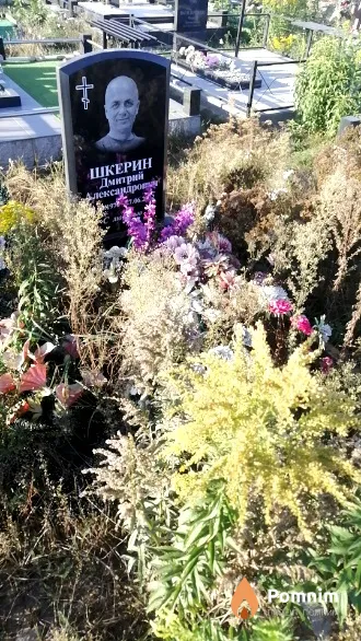 Шкерин Дмитрий Александрович