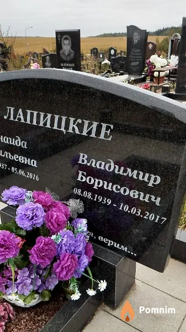 Лапицкий Владимир Борисович