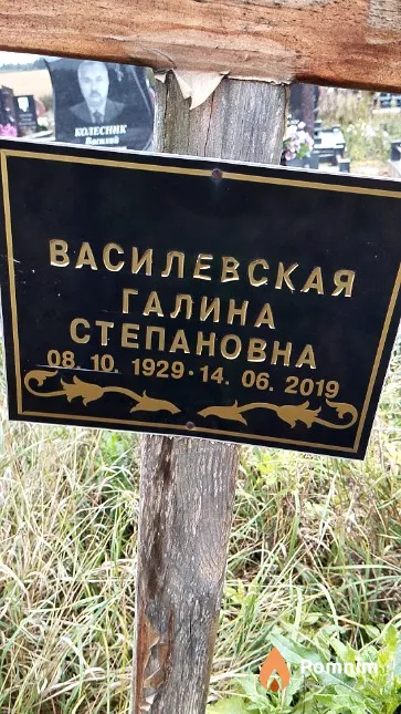 Василевская Галина Степановна