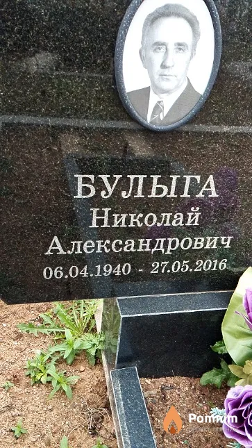 Булыга Николай Александрович