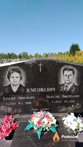 Демешкевич Болеслав Викентьевич