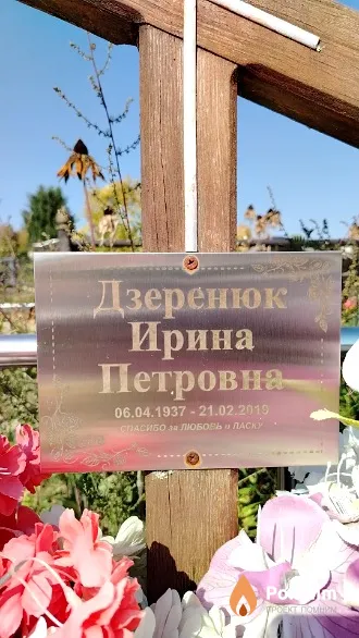 Дзеренюк Ирина Петровна