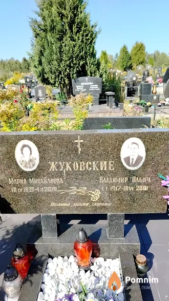 Жуковский Владимир Ильич