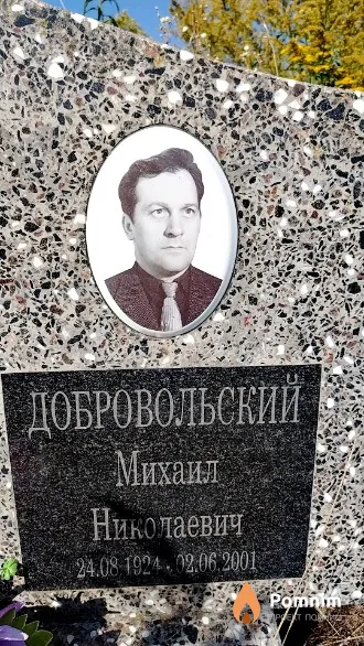 Добровольский Михаил Николаевич