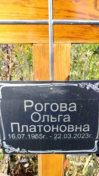 Рогова Ольга Платоновна