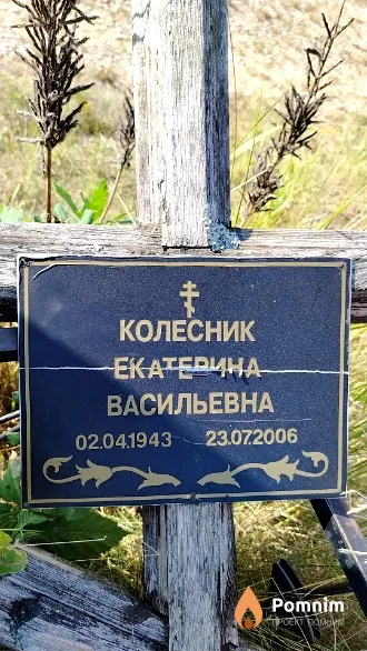 Колесник Екатерина Васильевна