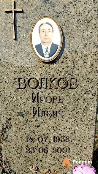Волков Игорь Ильич
