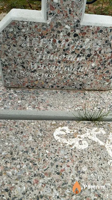 Абрамович Николай Михайлович