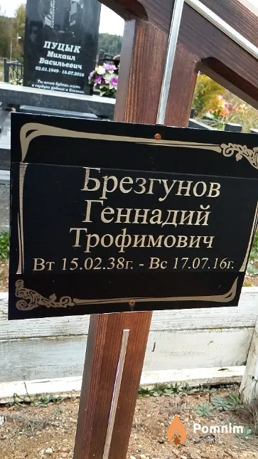 Брезгунов Геннадий Трофимович