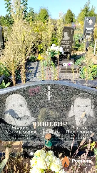 Чишевич Антон Павлович