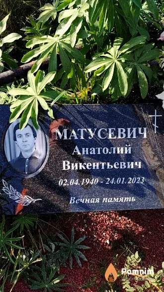 Матусевич Анатолий Викентьевич