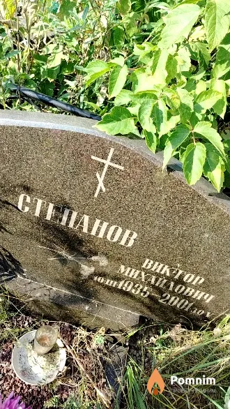 Степанов Виктор Михайлович