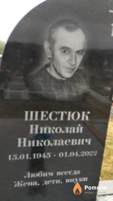 Шестюк Николай Николаевич