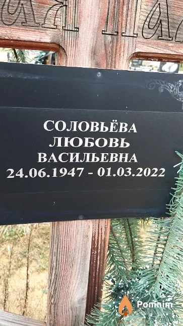 Соловьёва Любовь Васильевна