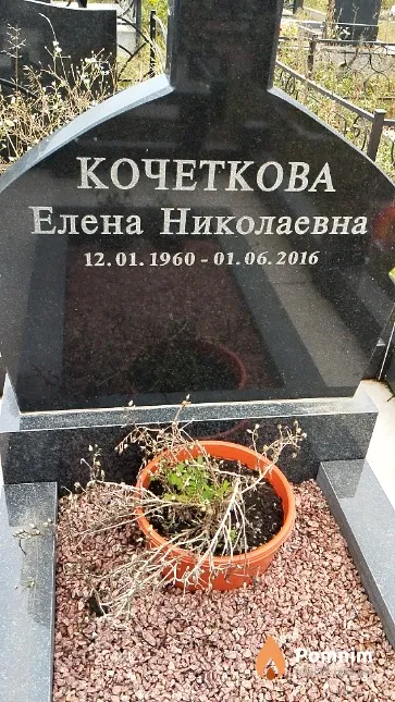 Кочеткова Елена Николаевна