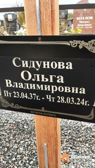 Сидунова Ольга Владимировна